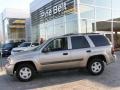 Light Pewter Metallic - TrailBlazer LS 4x4 Photo No. 4