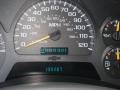 Light Pewter Metallic - TrailBlazer LS 4x4 Photo No. 15