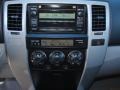 Titanium Metallic - 4Runner SR5 Photo No. 11