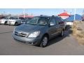 2007 Green Meadow Gray Hyundai Entourage GLS  photo #2