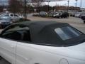 Stone White - Sebring Limited Convertible Photo No. 29