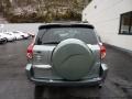 Everglade Metallic - RAV4 4WD Photo No. 3