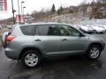 Everglade Metallic - RAV4 4WD Photo No. 5