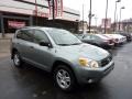 Everglade Metallic - RAV4 4WD Photo No. 6