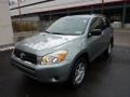 Everglade Metallic - RAV4 4WD Photo No. 11