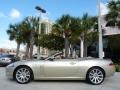 Winter Gold Metallic - XK XK8 Convertible Photo No. 5