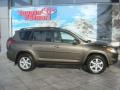 2009 Pyrite Mica Toyota RAV4 Limited  photo #1