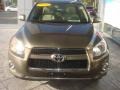 2009 Pyrite Mica Toyota RAV4 Limited  photo #3