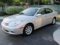 Millennium Silver Metallic - ES 300 Photo No. 1