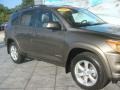 2009 Pyrite Mica Toyota RAV4 Limited  photo #6