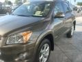 2009 Pyrite Mica Toyota RAV4 Limited  photo #7
