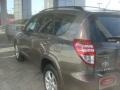 2009 Pyrite Mica Toyota RAV4 Limited  photo #8