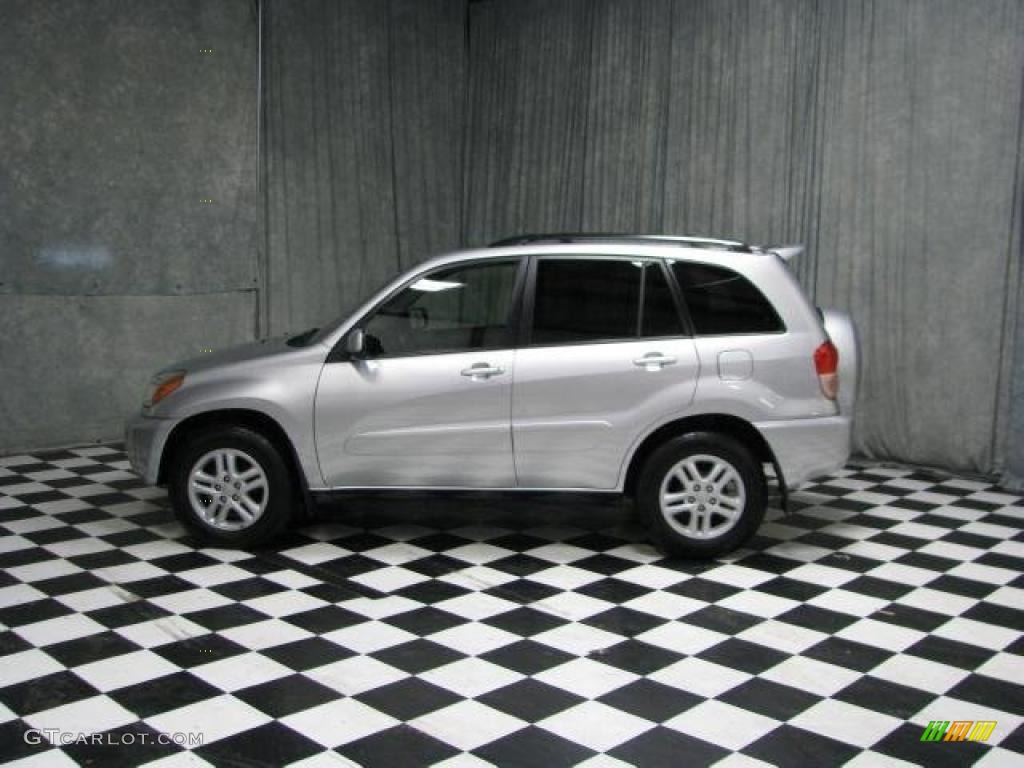 2002 RAV4  - Titanium Metallic / Gray photo #1