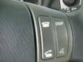 2009 Pyrite Mica Toyota RAV4 Limited  photo #31