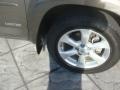 2009 Pyrite Mica Toyota RAV4 Limited  photo #42