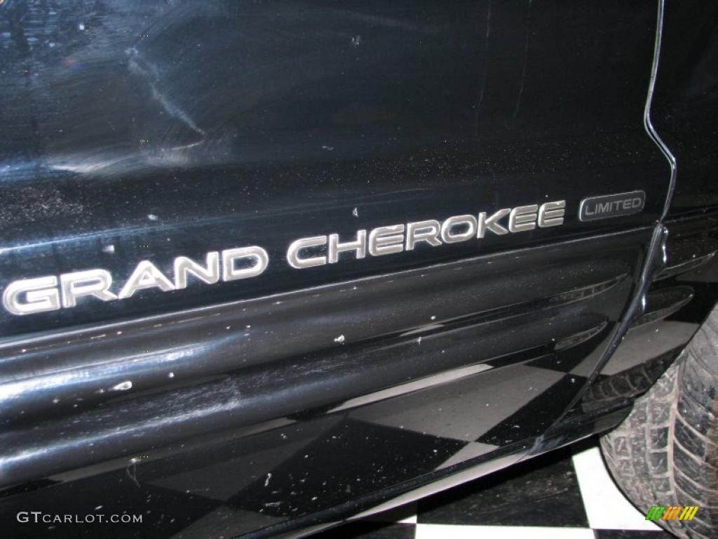 2002 Grand Cherokee Limited - Black / Dark Slate Gray photo #12