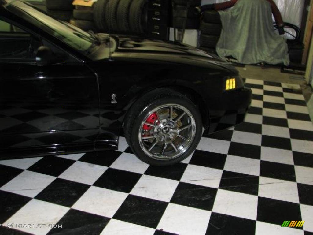 2001 Mustang Cobra Convertible - Black / Dark Charcoal photo #1