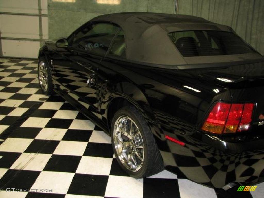 2001 Mustang Cobra Convertible - Black / Dark Charcoal photo #5