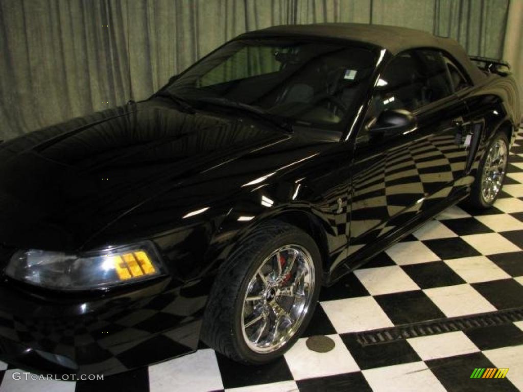 2001 Mustang Cobra Convertible - Black / Dark Charcoal photo #18