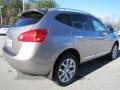 Platinum Graphite - Rogue SL Photo No. 4
