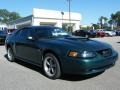 2002 Tropic Green Metallic Ford Mustang GT Coupe  photo #7