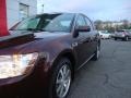 Cinnamon Metallic - Taurus SEL Photo No. 9