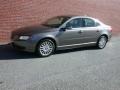 Oyster Gray Metallic - S80 3.2 Photo No. 1