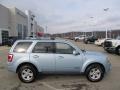 Light Ice Blue 2008 Ford Escape Hybrid 4WD Exterior