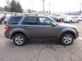 2011 Sterling Grey Metallic Ford Escape Limited V6 4WD  photo #5