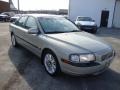 Moondust Metallic - S80 T6 Photo No. 4