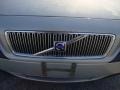 Moondust Metallic - S80 T6 Photo No. 40