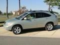 2004 Bamboo Pearl Lexus RX 330  photo #7