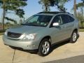 2004 Bamboo Pearl Lexus RX 330  photo #9