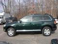 Venetian Green Metallic - Touareg V6 Photo No. 3