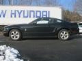 2008 Black Ford Mustang V6 Premium Coupe  photo #9