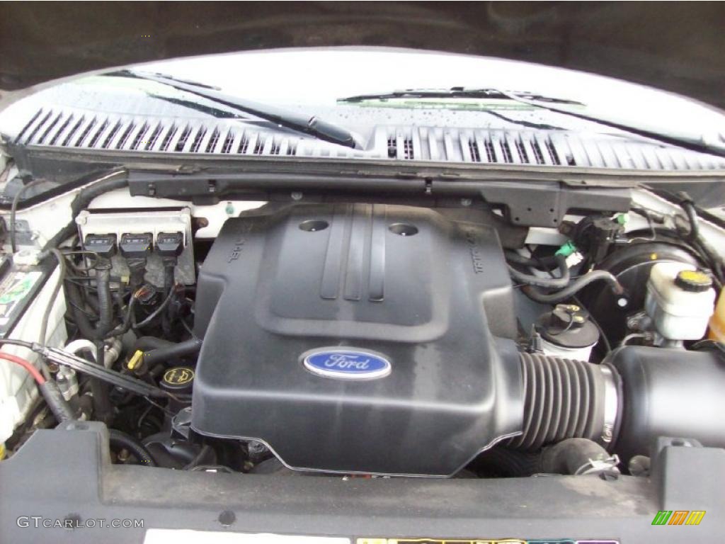 2004 Ford Expedition XLT 4x4 4.6 Liter SOHC 16-Valve Triton V8 Engine Photo #41005394