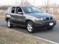 Steel Grey Metallic - X5 3.0i Photo No. 2