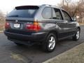 Steel Grey Metallic - X5 3.0i Photo No. 3