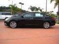2011 Midnight Black Hyundai Sonata SE  photo #2