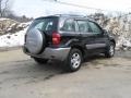 Black - RAV4 4WD Photo No. 11