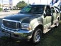 Estate Green Metallic 2002 Ford Excursion Limited 4x4