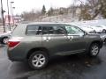 Cypress Green Pearl - Highlander 4WD Photo No. 5