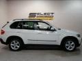 Alpine White - X5 3.0si Photo No. 4