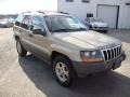 Champagne Pearlcoat - Grand Cherokee Laredo 4x4 Photo No. 4