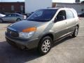 2002 Sedona Bronze Buick Rendezvous CX  photo #2