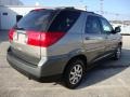 2002 Sedona Bronze Buick Rendezvous CX  photo #8