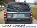 2010 Steel Blue Metallic Ford Escape XLT 4WD  photo #3