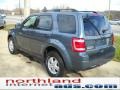 2010 Steel Blue Metallic Ford Escape XLT 4WD  photo #4