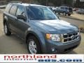 2010 Steel Blue Metallic Ford Escape XLT 4WD  photo #15