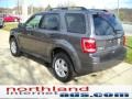 Sterling Grey Metallic - Escape XLT 4WD Photo No. 4